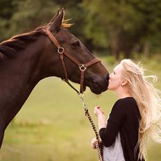 Anden særlig race Paskal