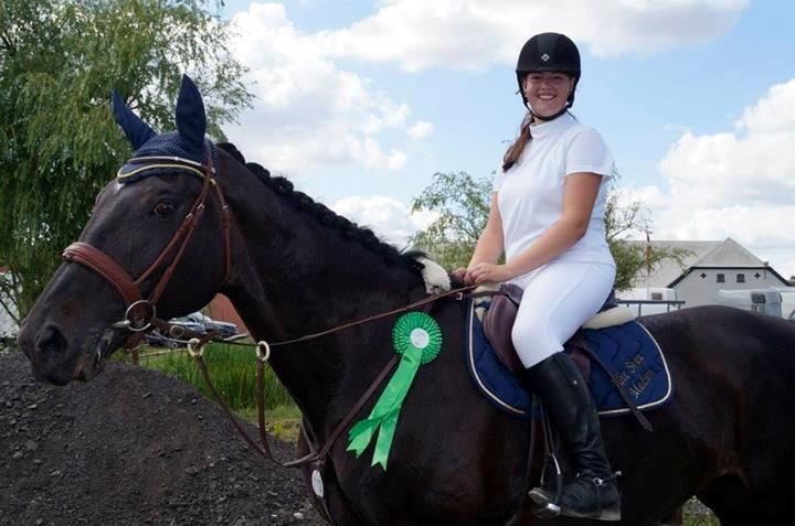 Dansk Varmblod - Carnival (B-HEST) [HIMMEL HEST] - 10) billede 10