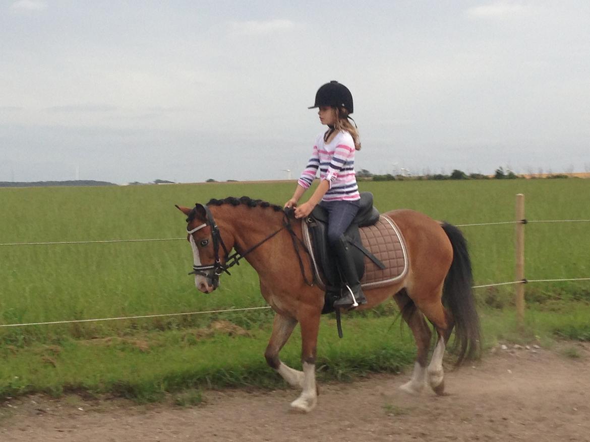 Anden særlig race Scooby doo billede 7