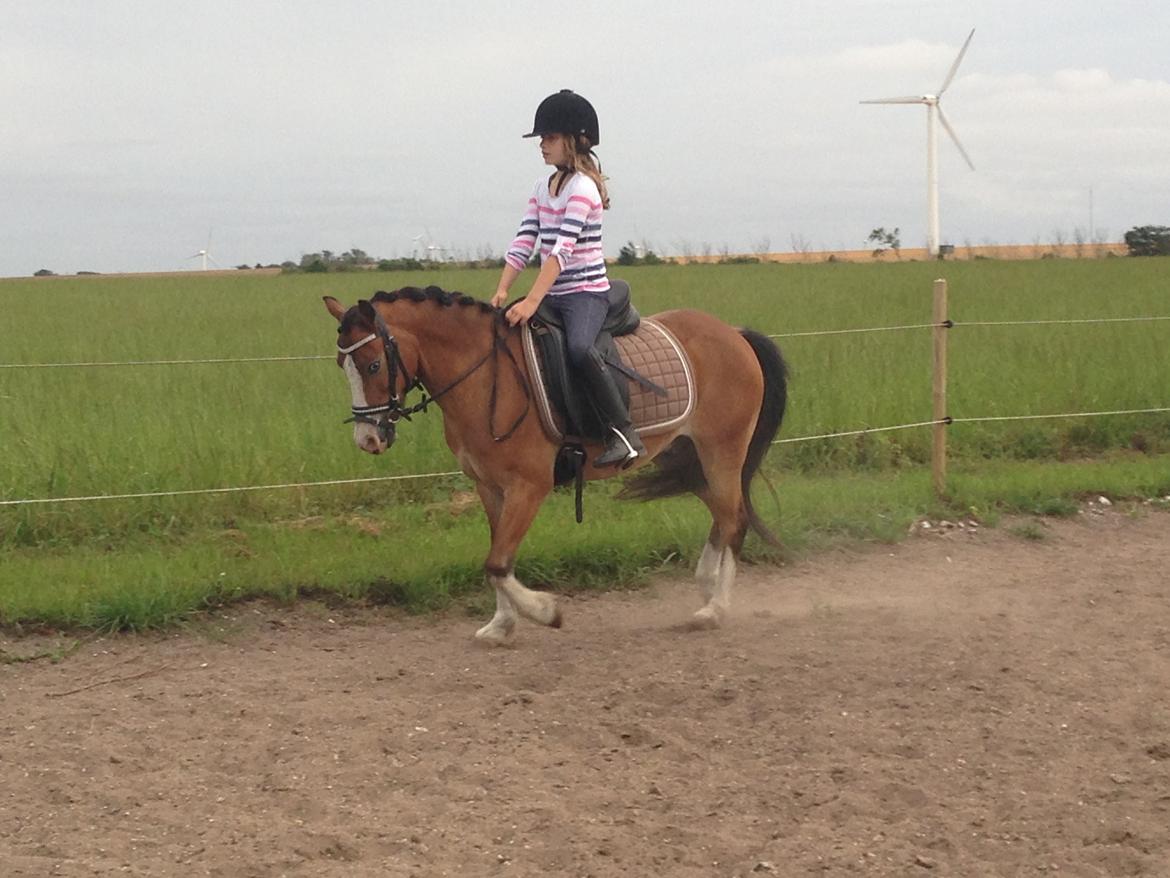 Anden særlig race Scooby doo billede 8