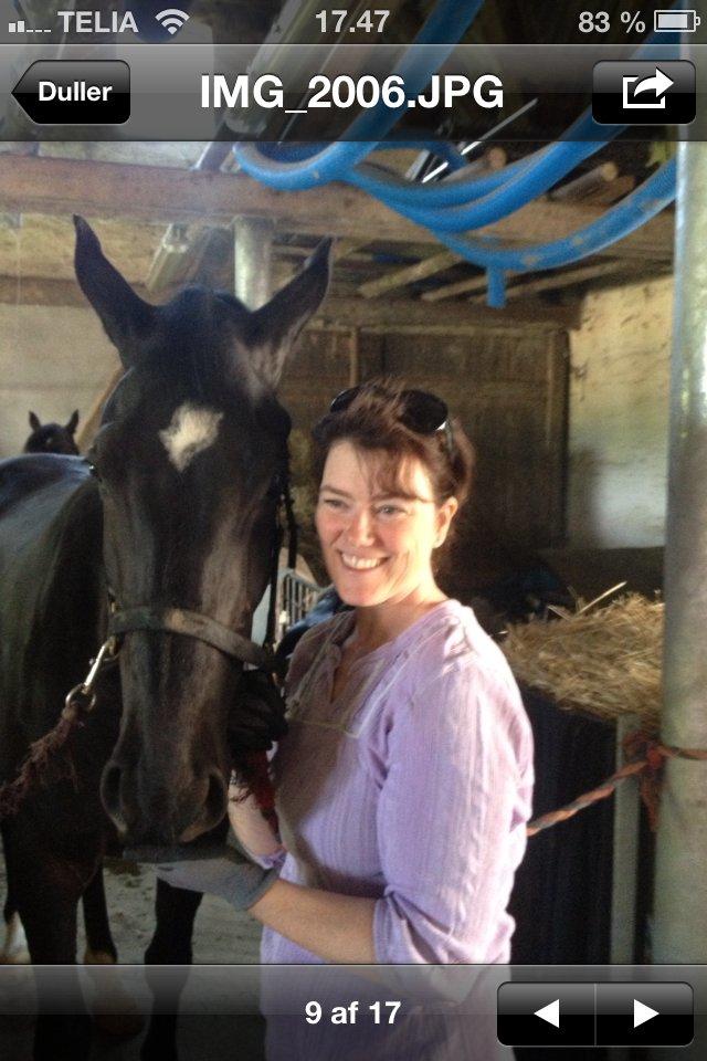 Oldenborg Solhøj's Maximus D M - Max billede 6