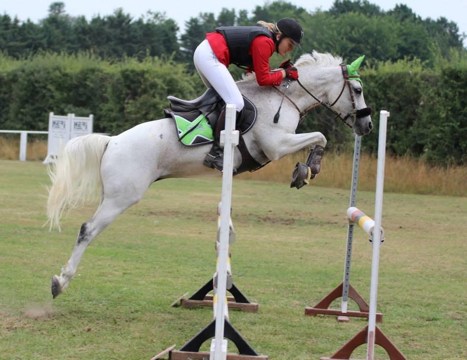 DSP Præstemarkens Mahogni |Honey| - LB.. <3 Foto af| KDJ Foto
 billede 11