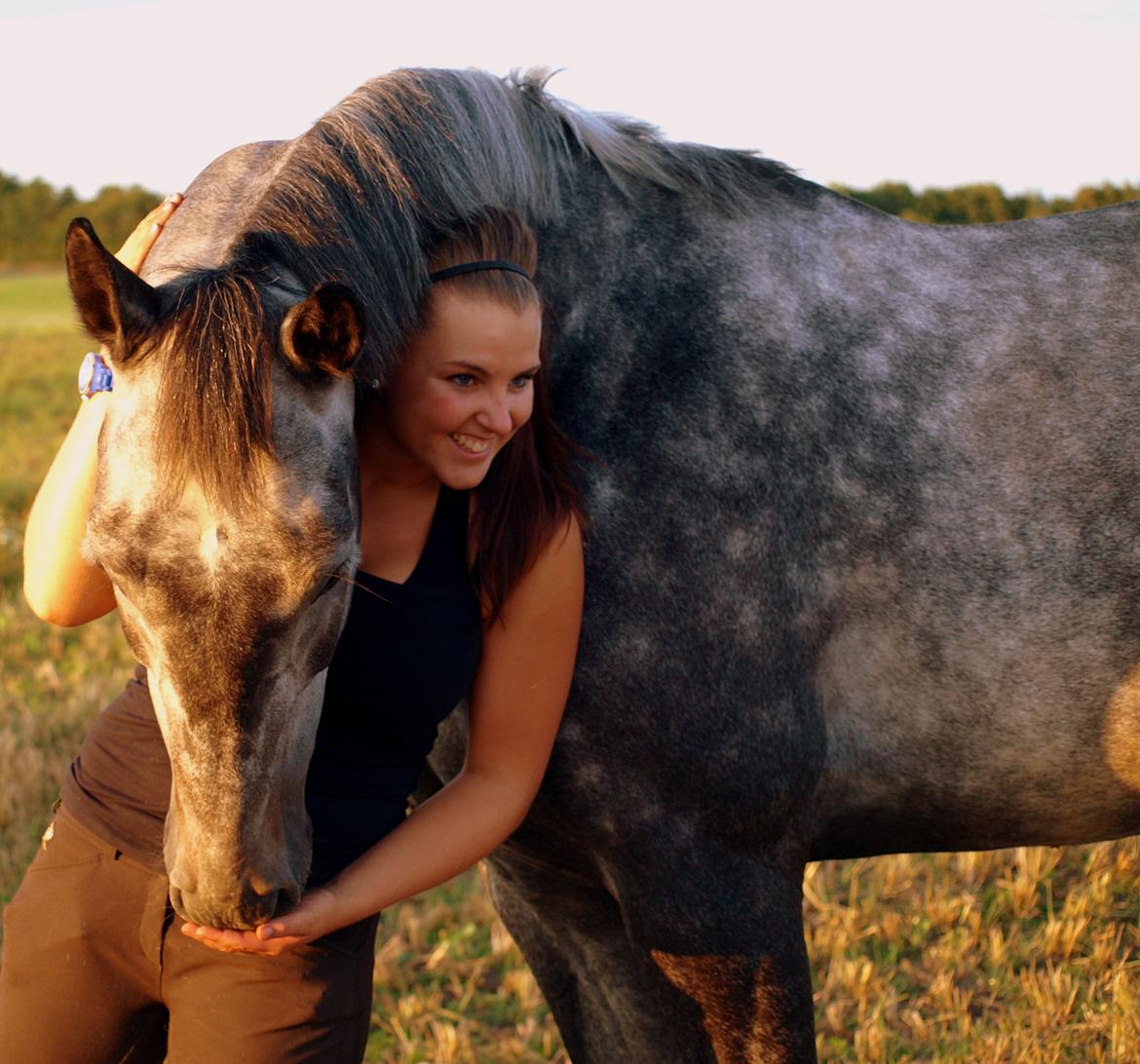 Dansk Varmblod LE-QUI'TO billede 16