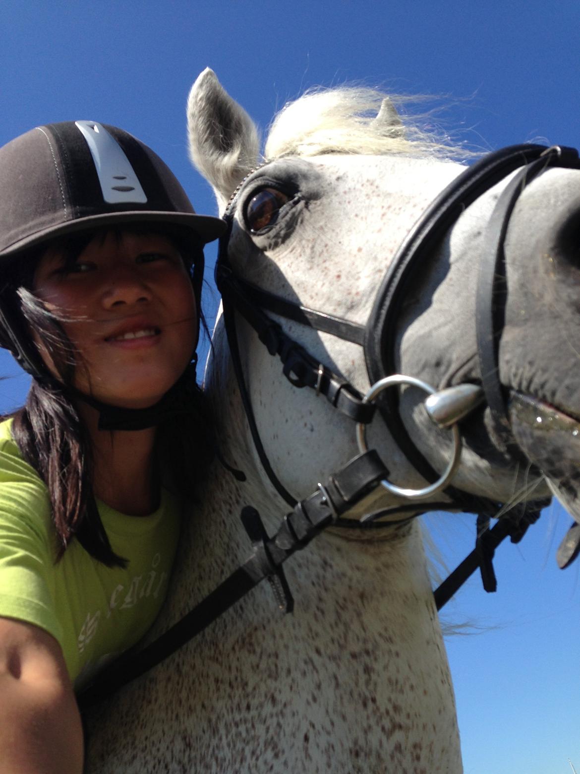 Connemara Britania billede 9