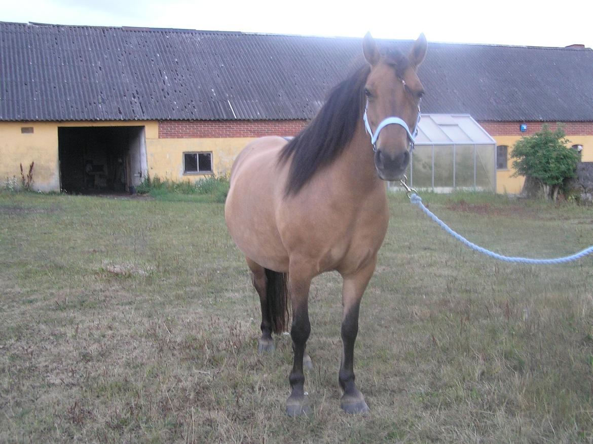 Anden særlig race Karina - Prinsessen <3 billede 7