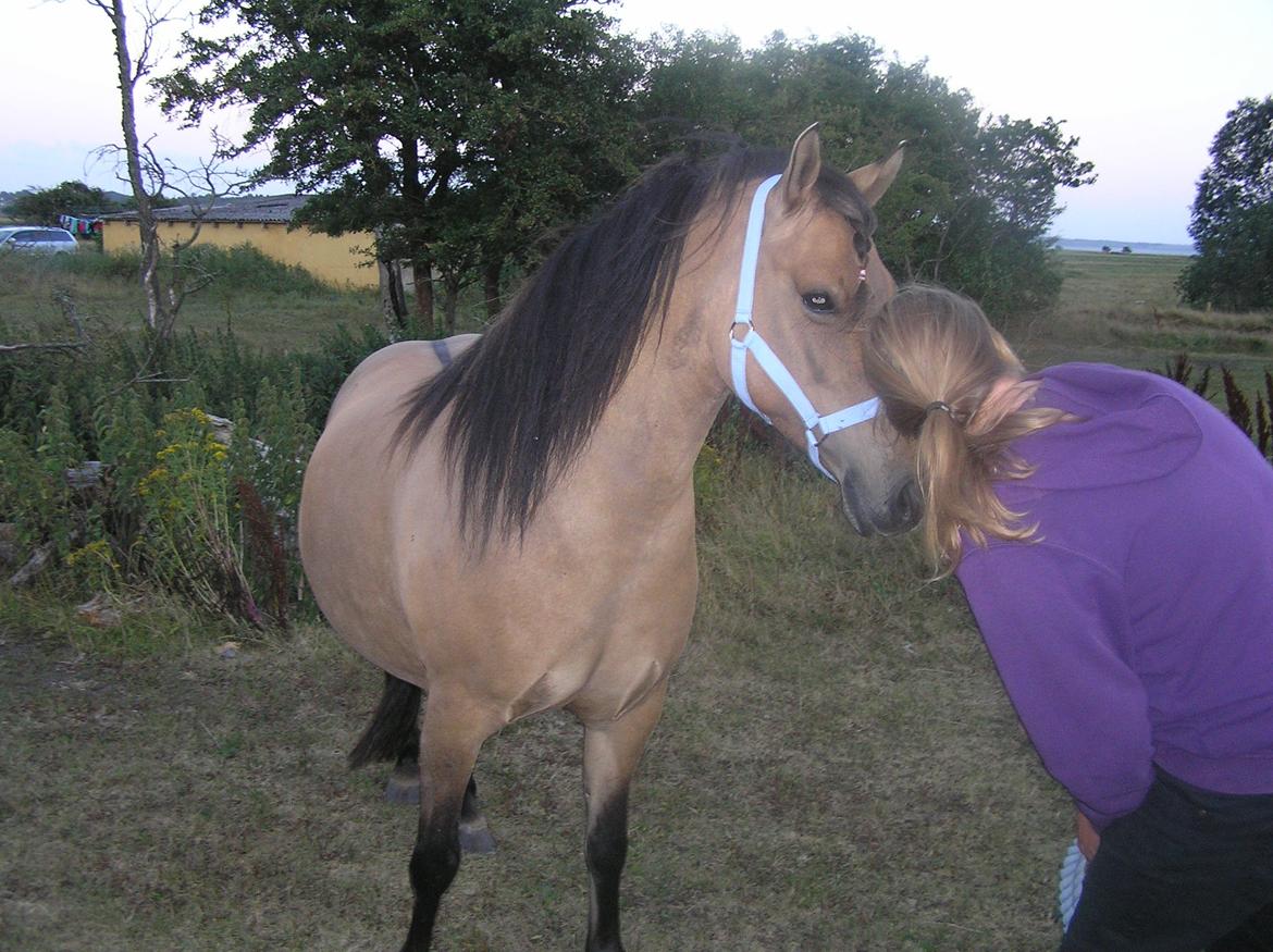 Anden særlig race Karina - Prinsessen <3 billede 4