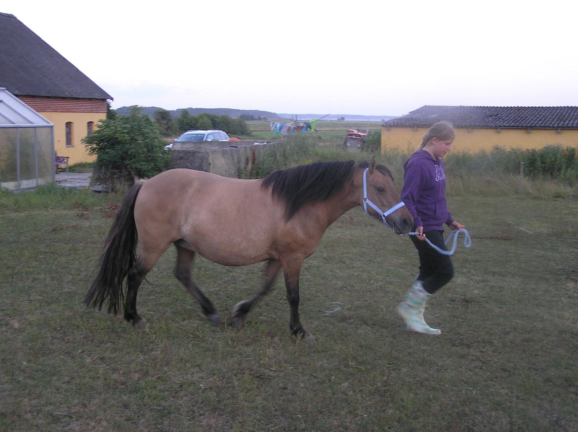 Anden særlig race Karina - Prinsessen <3 billede 5