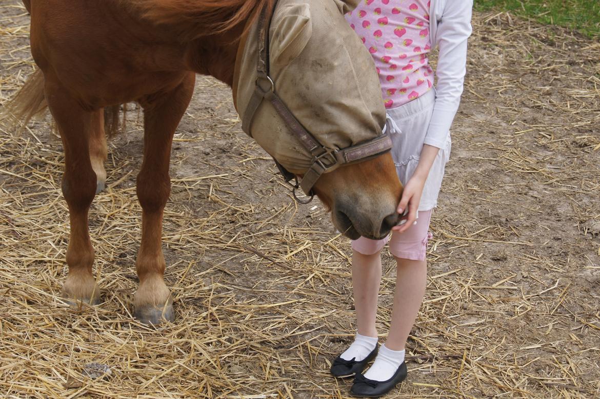 Anden særlig race Rosa - Maj 2013 billede 30