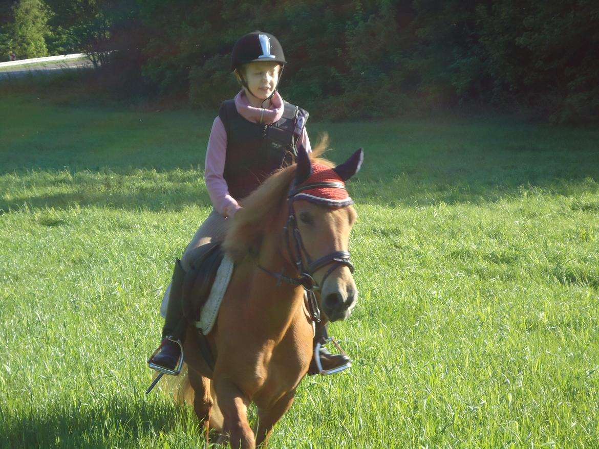 Anden særlig race Rosa - Ida & Rosa<3 billede 14