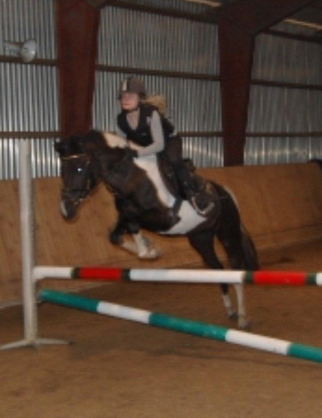 Pinto Sipke<3<3 billede 6