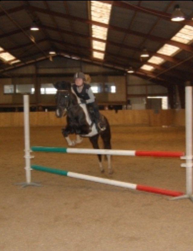 Pinto Sipke<3<3 billede 7