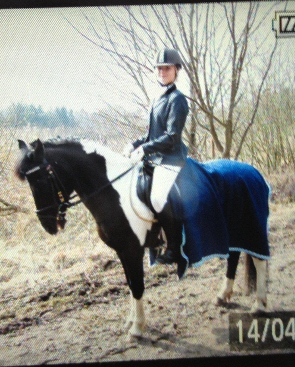 Pinto Sipke<3<3 billede 9