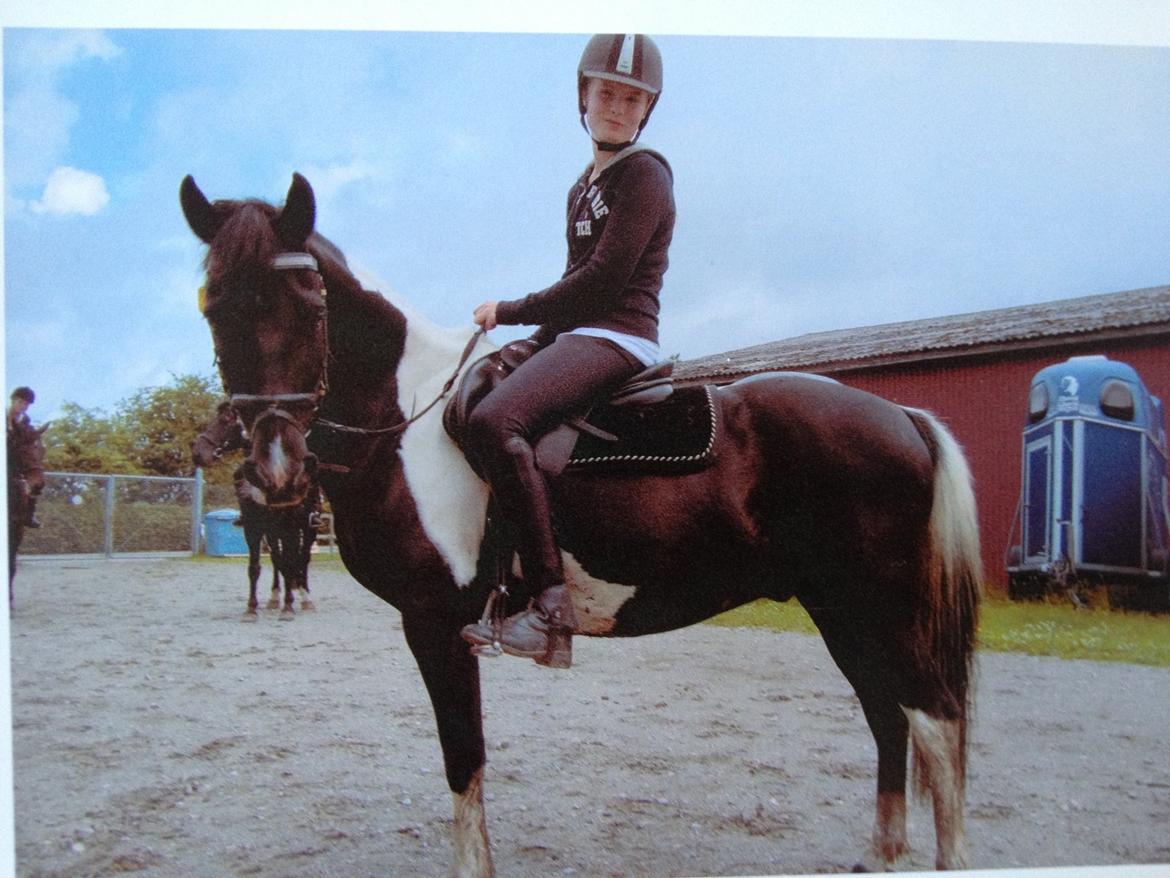 Pinto Sipke<3<3 billede 18