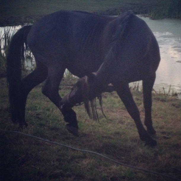 Oldenborg Sarah billede 18