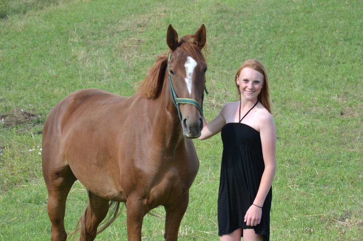 Dansk Varmblod Aysia e - Smukke A på folden!! august 2013 - foto: Mor <3 billede 5