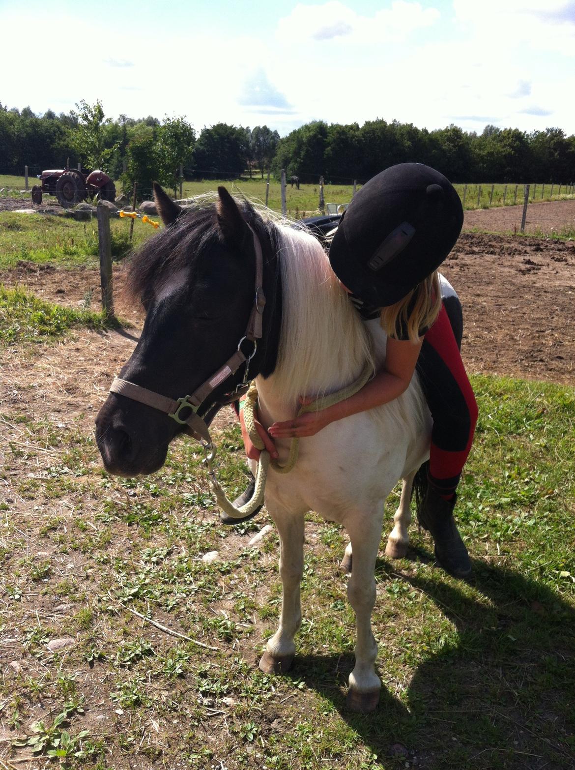 Anden særlig race Dixie  - Fordi jeg stoler på dig!!<3 billede 22