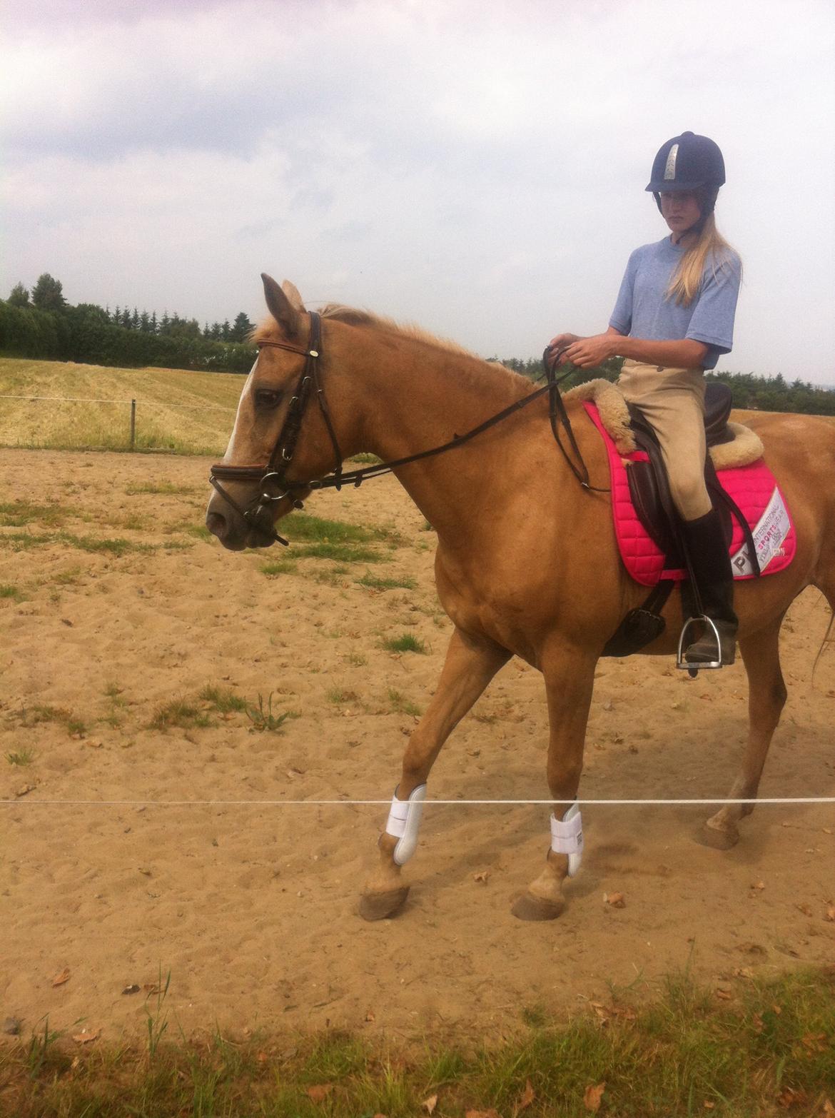 Palomino Blondie - Min smukke pige :-) billede 5