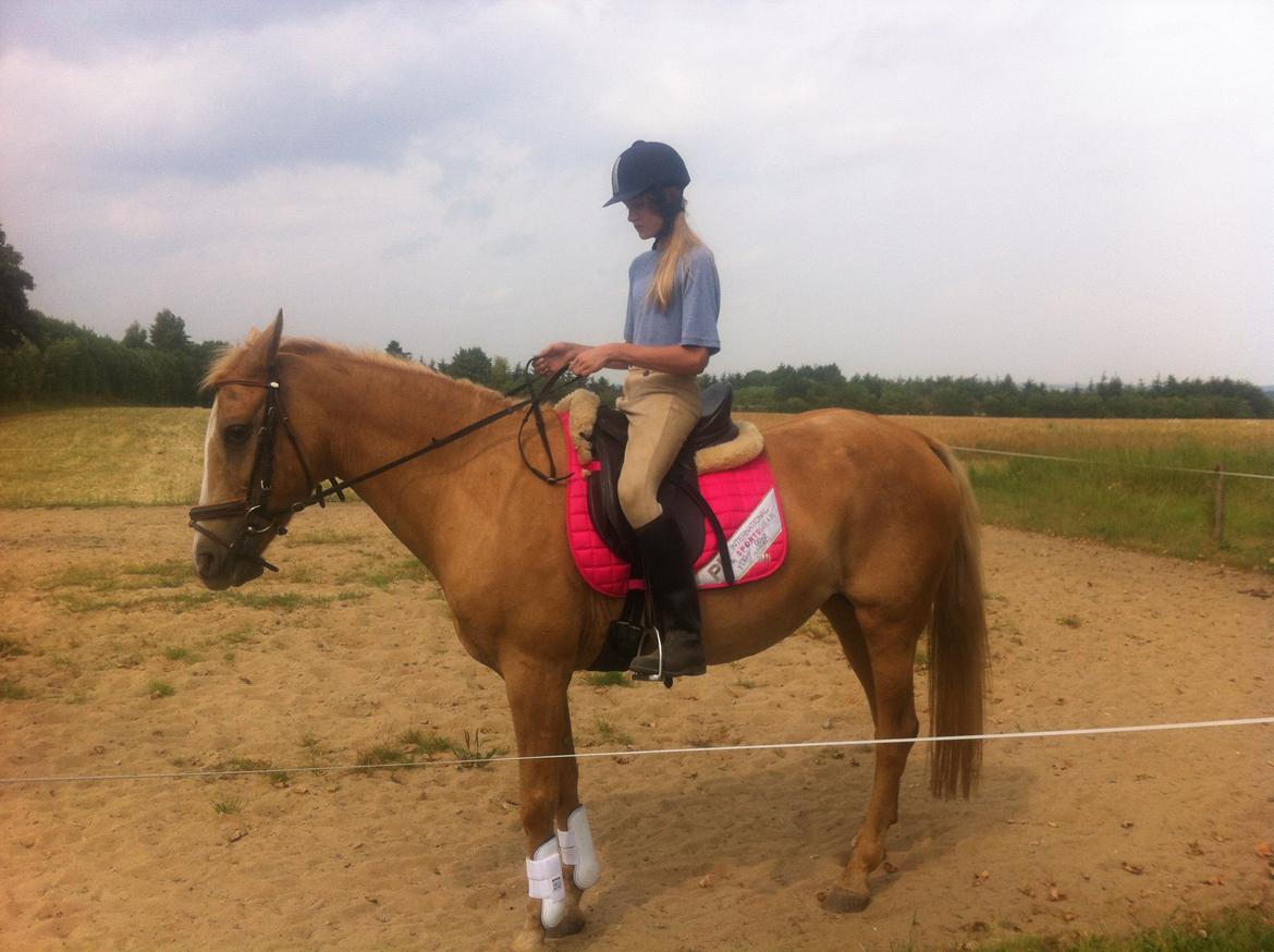 Palomino Blondie - Mig og Blondie :-) billede 6