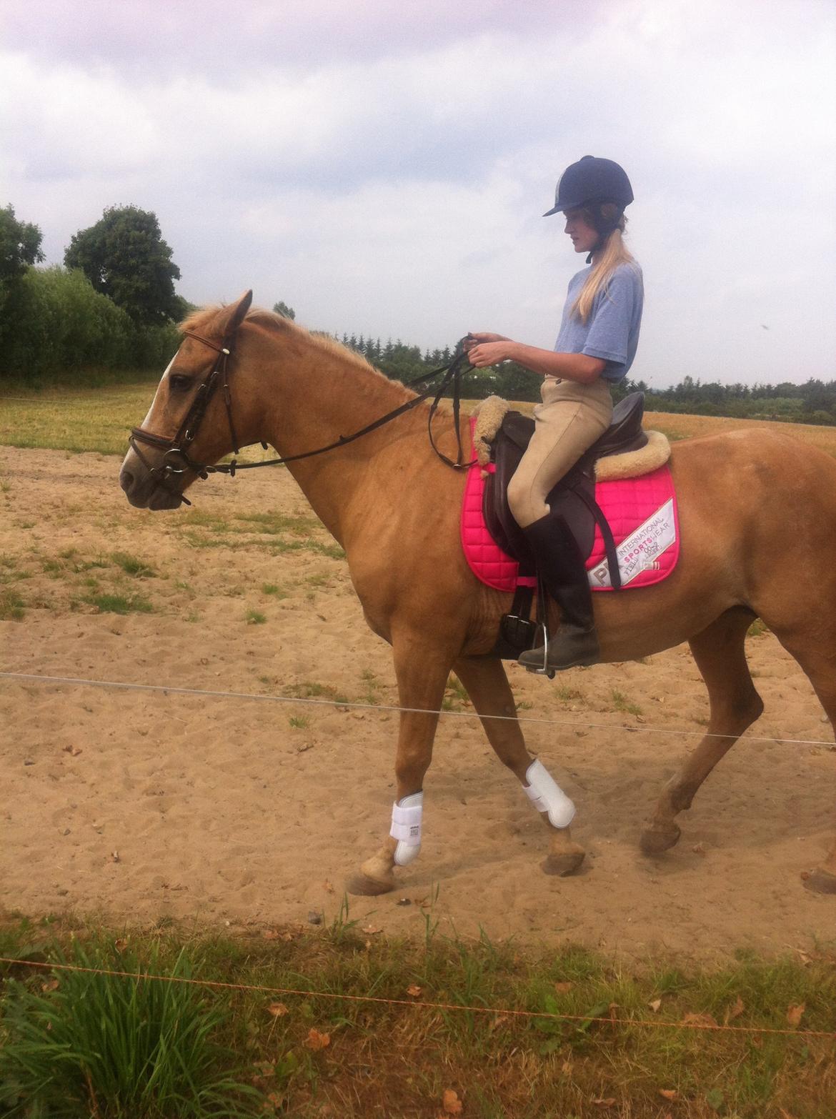 Palomino Blondie - I må gerne være misundelige på min smukke hest :-) billede 8