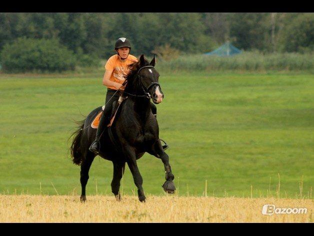 Oldenborg Petrea - Galop å Stubmark jaaaa! :-) billede 19