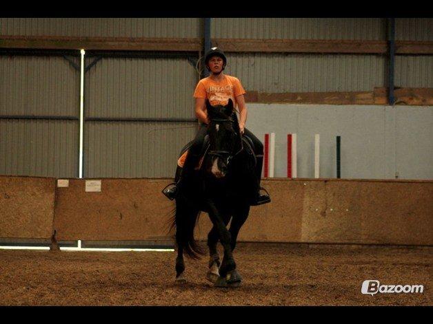 Oldenborg Petrea - Dressur træning billede 12