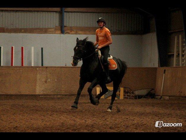 Oldenborg Petrea - Vi øver changement :-) billede 11