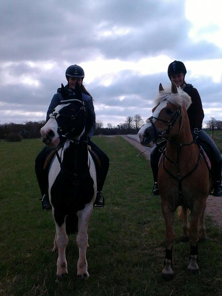 Haflinger Studgårdens Sally <3<3 - 13] Lille Tur med Filippa og Athos <3 Dato ?.05 2013 Foto: Katerina H  billede 13