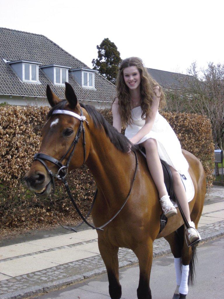 Dansk Varmblod Poppelgårdens Matrix - du var så fin på konfirmationsdagen manse<3<3 billede 3