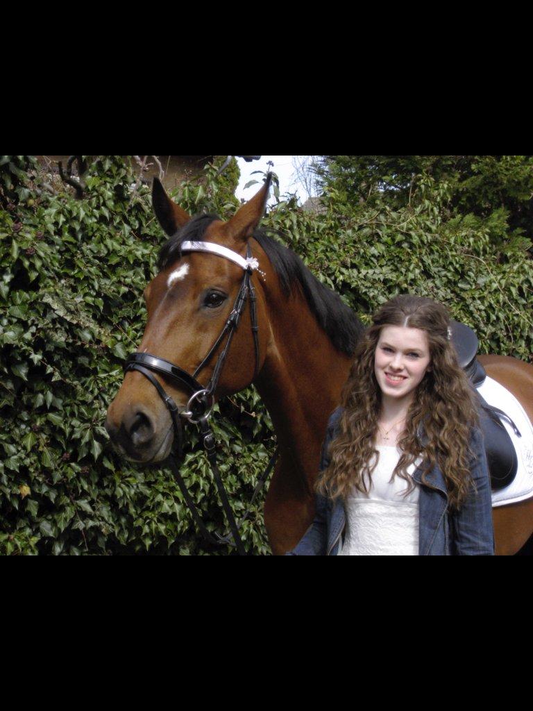 Dansk Varmblod Poppelgårdens Matrix - os i hvidt<3 billede 4