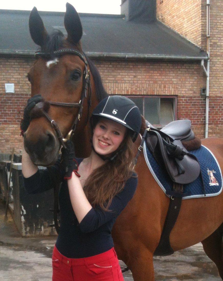 Dansk Varmblod Poppelgårdens Matrix - vi viser os lige frem i vores nye udstyr billede 6