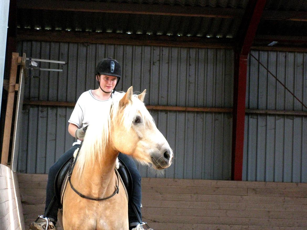 Haflinger Rico mit problembarn! R.I.I :,( !!!! - 16. 
Vores sidste dag... 
Selv om jeg græd indeni gav du mig smil på læberne til det sidste min ven! billede 16