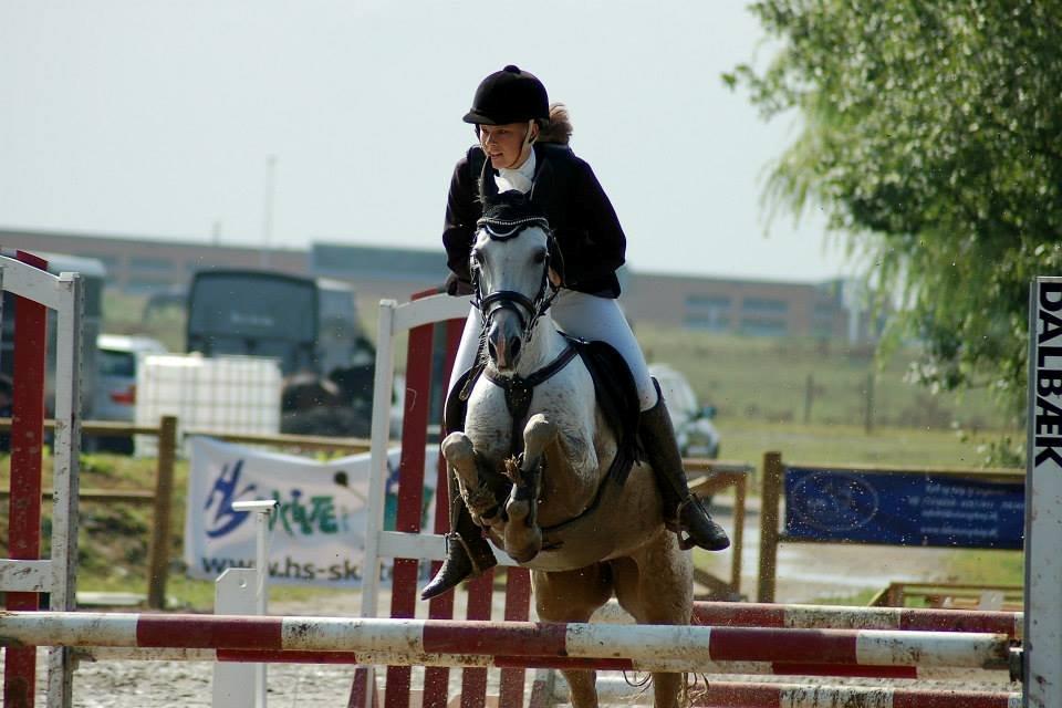 Tysk Sportspony Maidens Blush - LA1*, Horseworld cup indledende, 2 pl.! Fotograf: Katja  billede 16