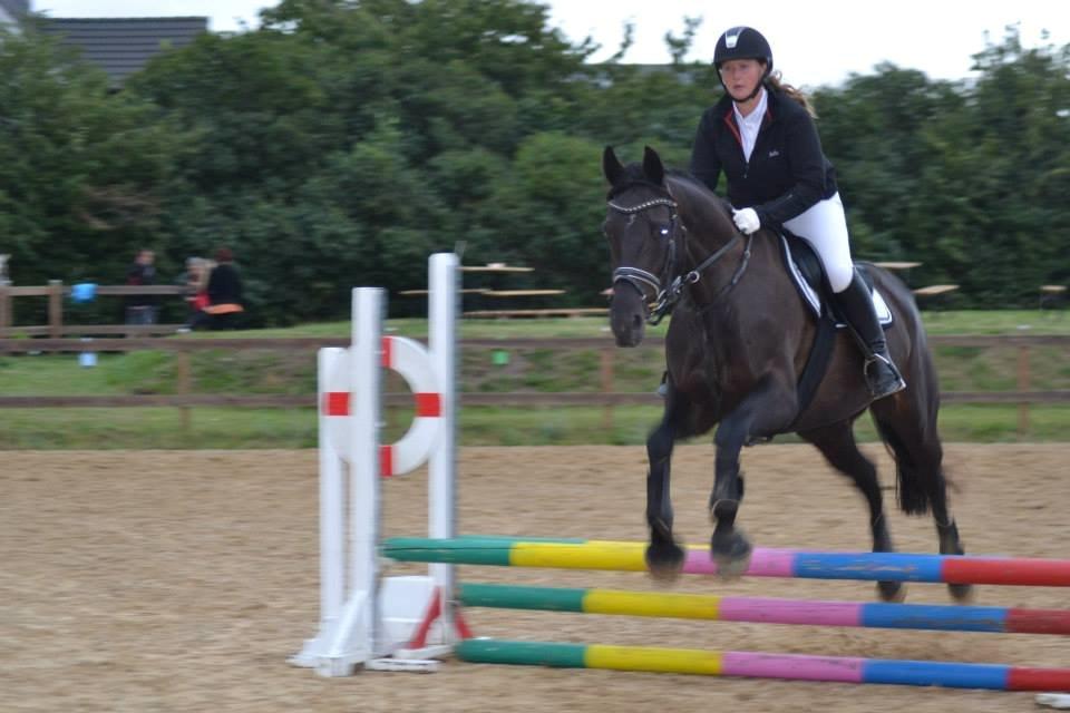 Trakehner Rodina billede 1