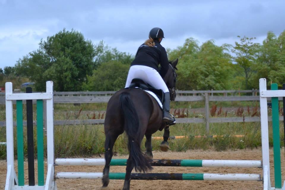 Trakehner Rodina billede 2