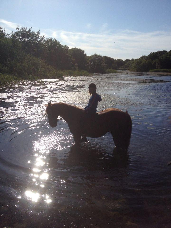 Anden særlig race Mr. Lonely [Der var engang..] - Sidste ridetur.. Nogensinde.. <3 billede 2