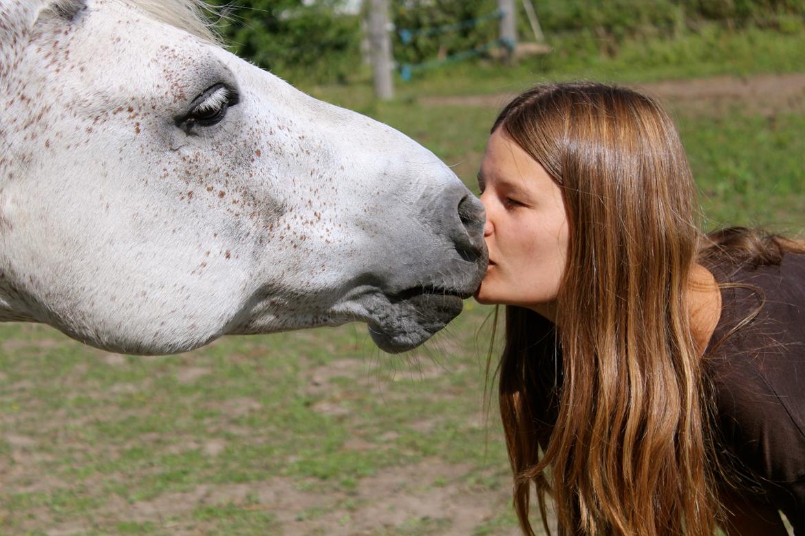 Anden særlig race Pasqual -My Unicorn- billede 13