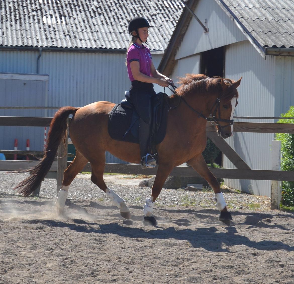 DSP Luanda billede 10