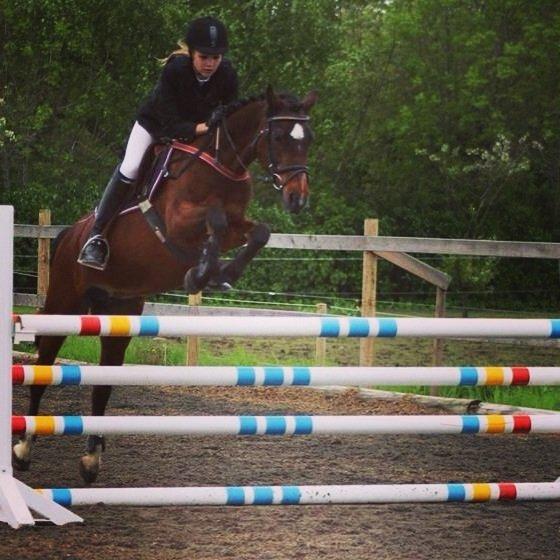 Anden særlig race Jiva billede 20