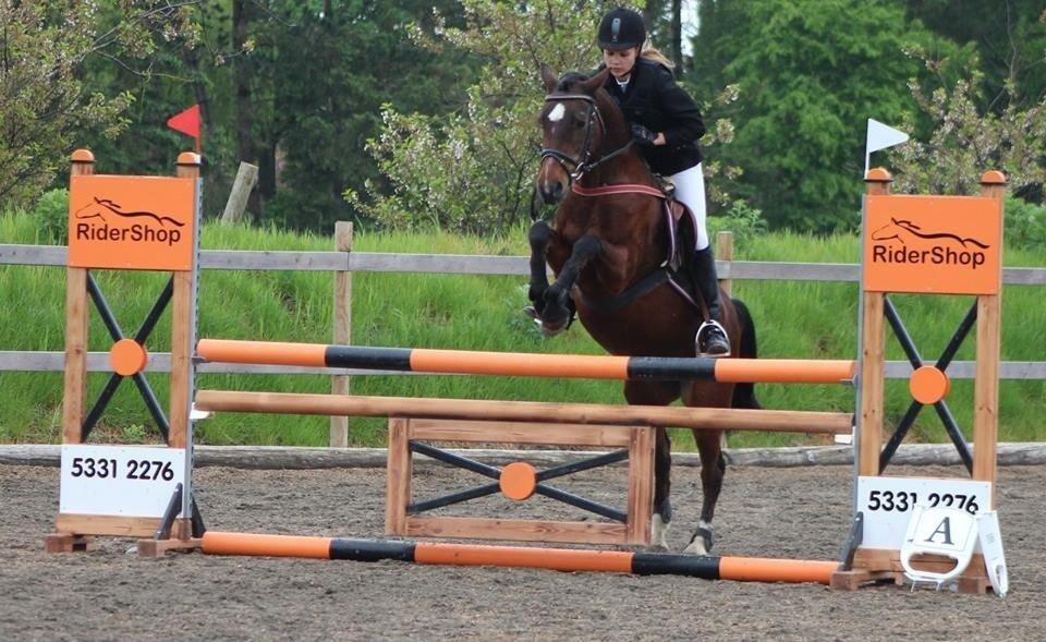 Anden særlig race Jiva billede 19