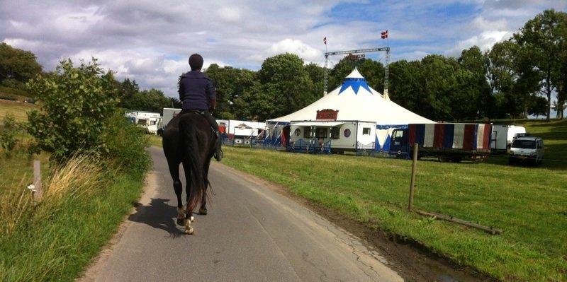 Anden særlig race Klitgaards Mr Big *R.I.P* - Så mødte vi da lige cirkus første gang på tur ud og væk fra ejendommen <3 billede 24