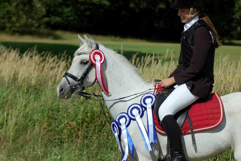 Tysk Sportspony Maidens Blush - Et helt fantastisk 3-dags stævne i vejle! Og samlet nr. 2 i Horseworld cup 2013! Fotograf: Katja billede 1