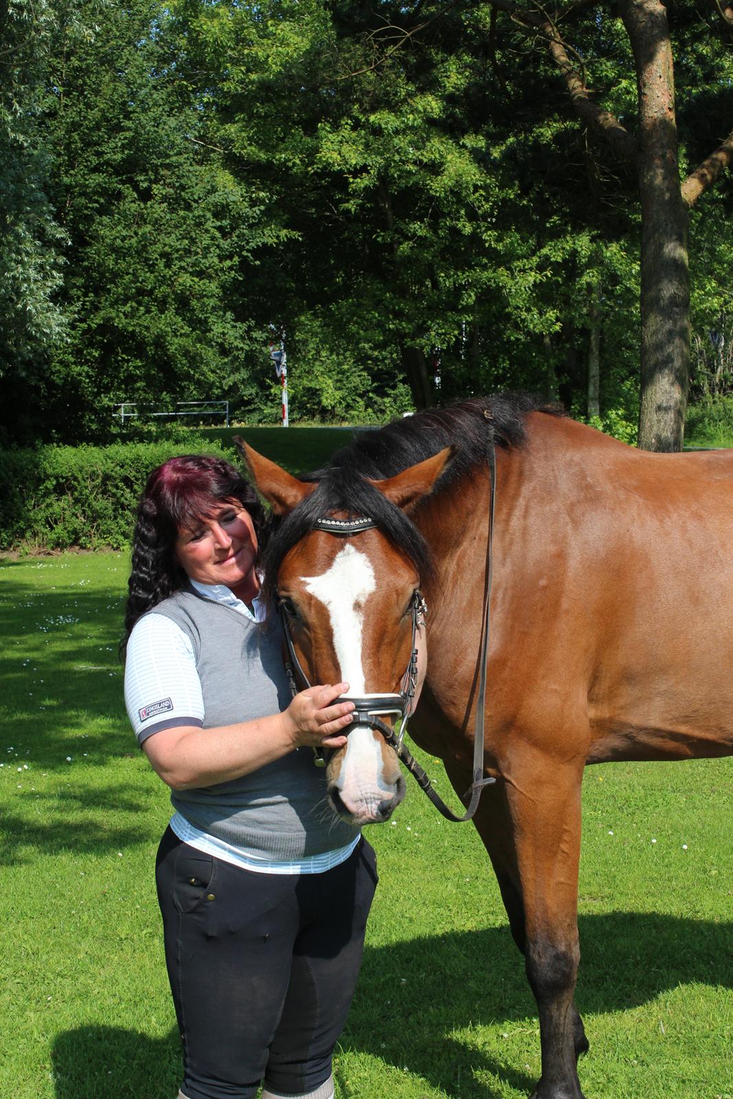 Hollandsk Varmblod Diesel billede 7