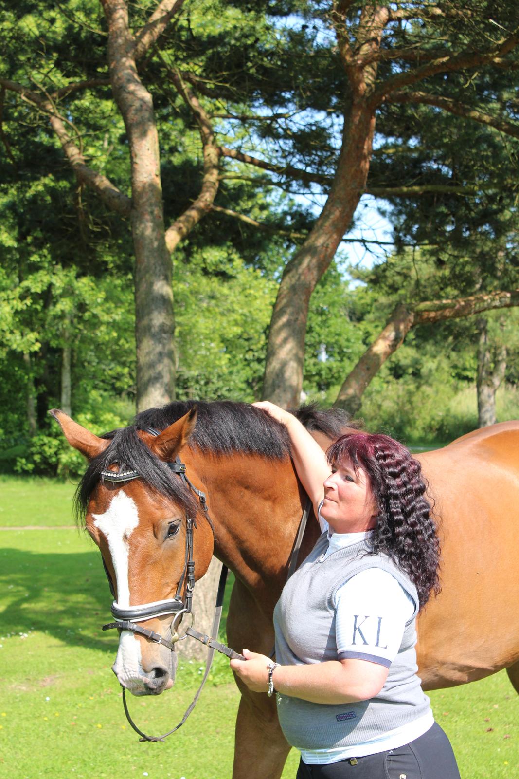 Hollandsk Varmblod Diesel billede 8