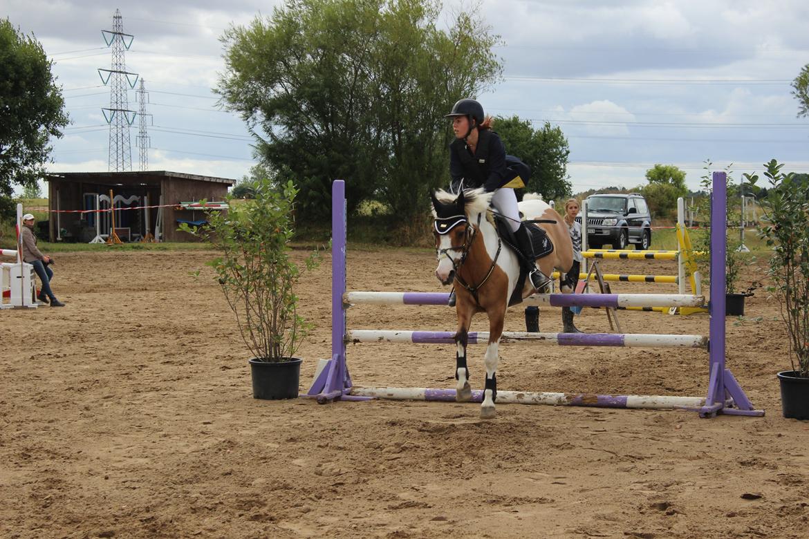 Pinto Stald poppels Hollywood Holy-man R.I.P MIN ENGEL billede 16