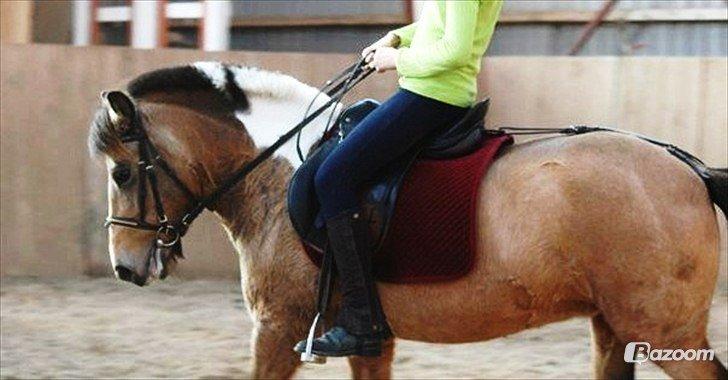 Anden særlig race Bonni - Bonni med tidligere part <3 billede 17