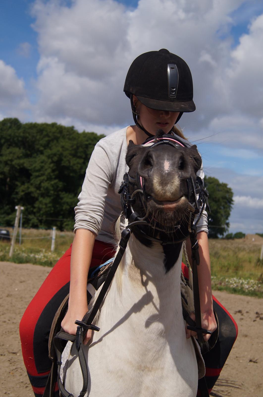 Anden særlig race Dixie  - Hvad skulle jeg dog gøre uden dig!!<3 billede 14