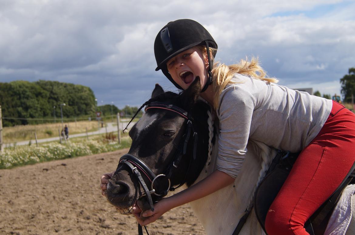 Anden særlig race Dixie  - Det kan godt være at vi er mærkelige, bare vi er det sammen!!<3 billede 2