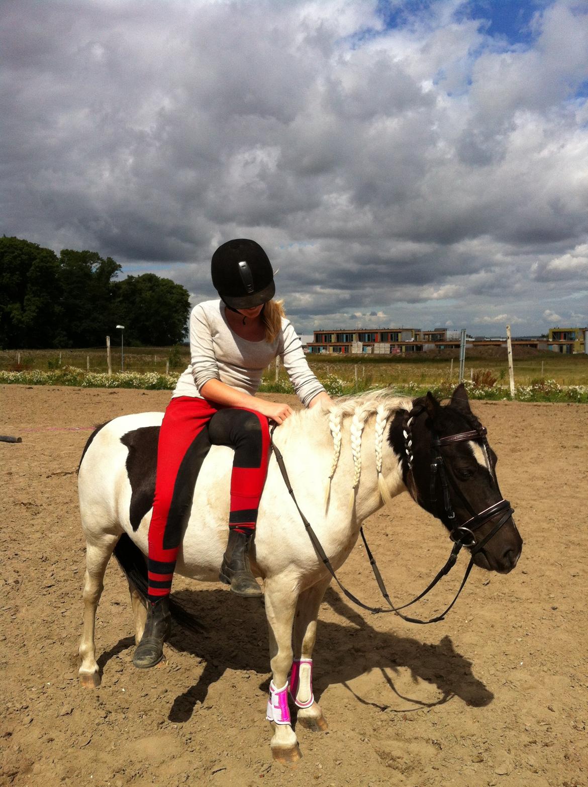 Anden særlig race Dixie  - Lidt hygge!!<3 billede 18