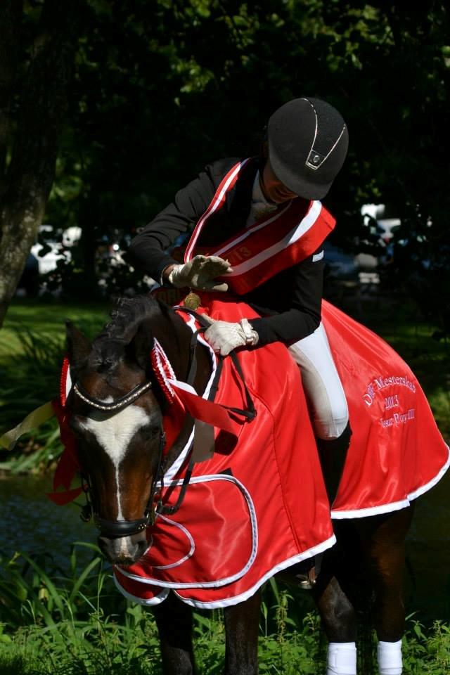 Anden særlig race Ponygårdens Mikkel Danmarksmester x 2 SOLGT - You are the best! billede 14