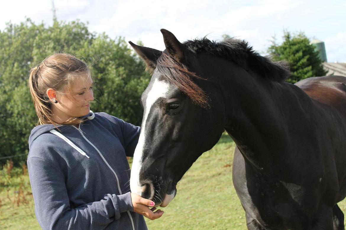Anden særlig race Bertil - Bertil og Nynne, august 2013. billede 4